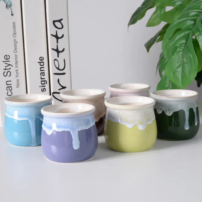 Creative Ceramic Succulent Pot with Glaze, Nordic Style