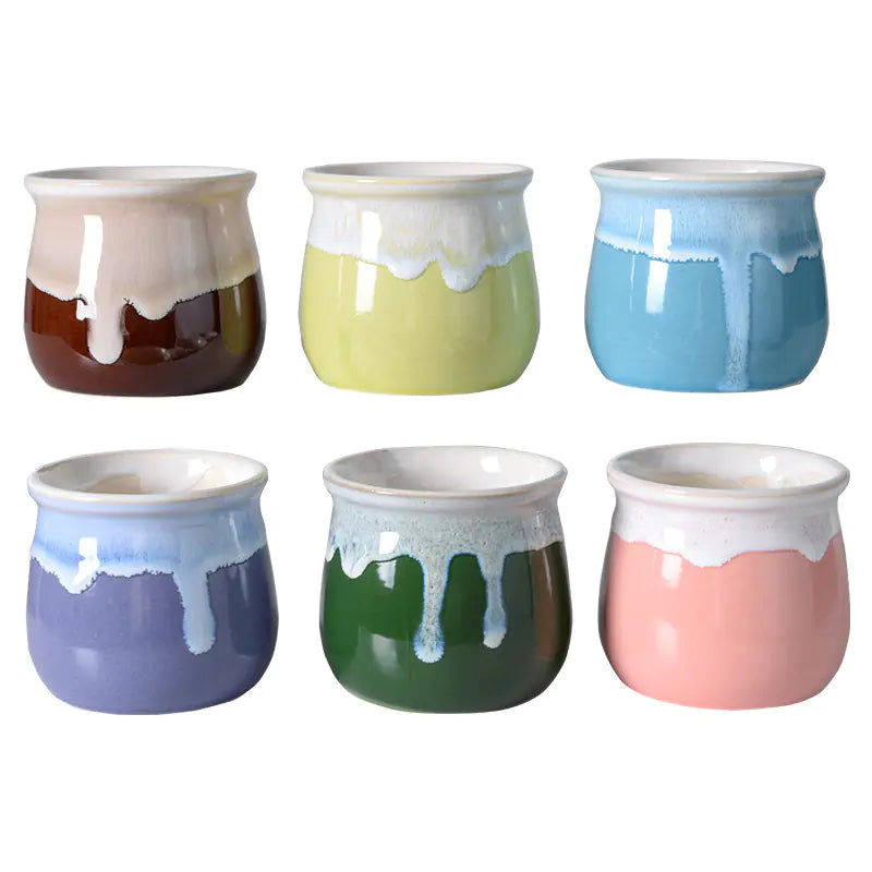 Creative Ceramic Succulent Pot with Glaze, Nordic Style